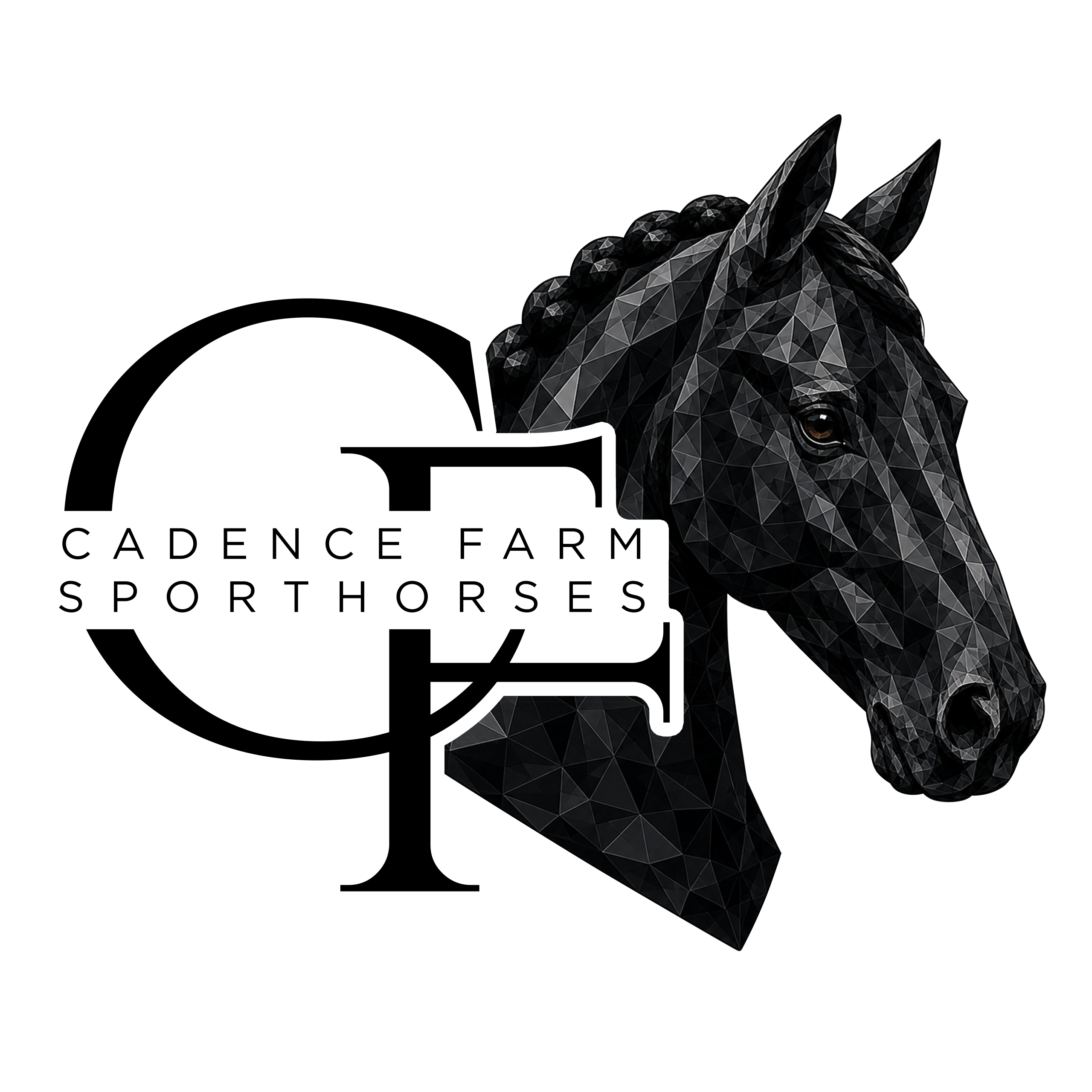 Cadence Farm Sporthorses